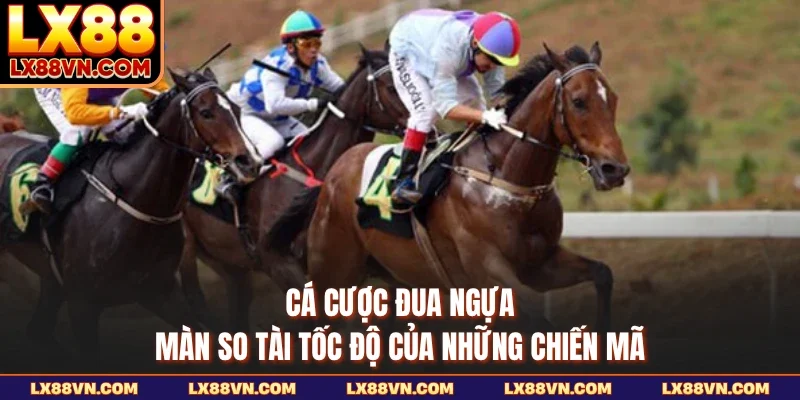 Cá Cược Đua Ngựa - Màn So Tài Tốc Độ Của Những Chiến Mã