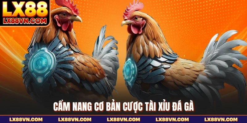 Cẩm nang cơ bản cược tài xỉu đá gà