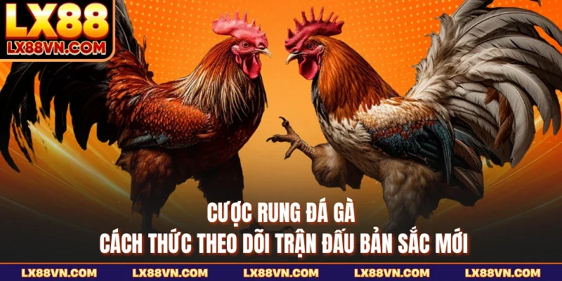 Cược Rung Đá Gà - Cách Thức Theo Dõi Trận Đấu Bản Sắc Mới