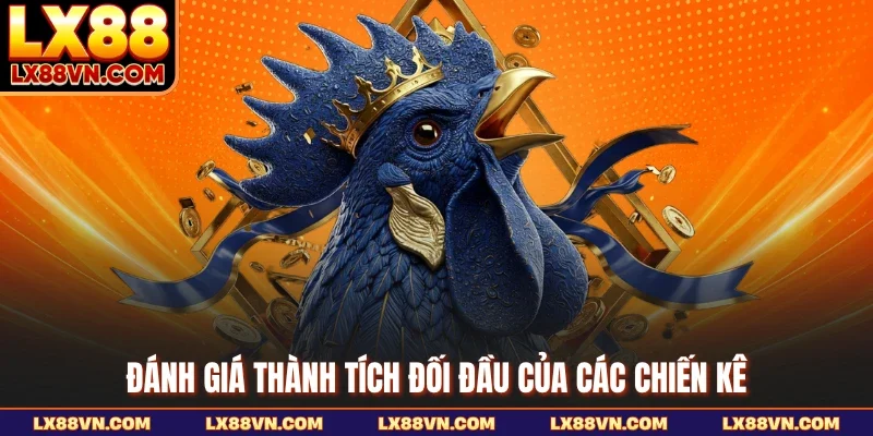 Đánh giá thành tích đối đầu của các chiến kê