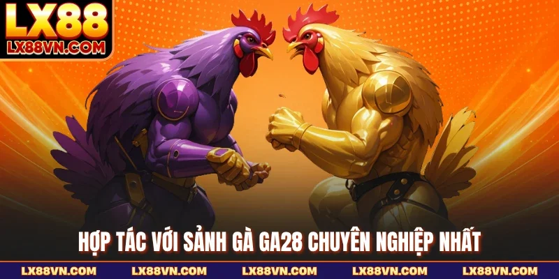 Hợp tác với sảnh gà GA28 chuyên nghiệp nhất
