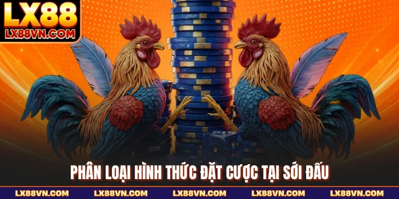 Phân loại hình thức đặt cược tại sới đấu