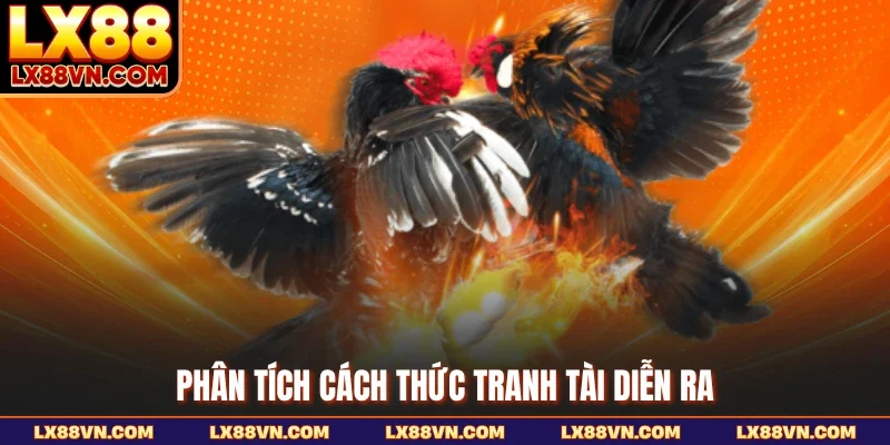 Phân tích cách thức tranh tài diễn ra