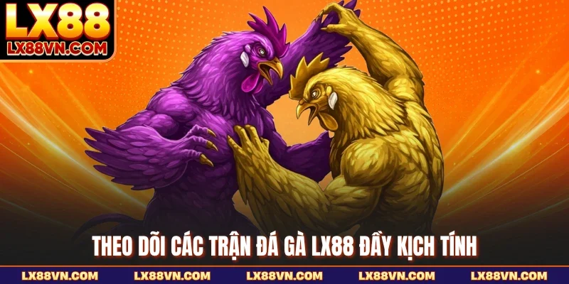 Theo dõi các trận đá gà LX88 đầy kịch tính