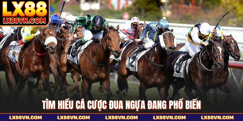 Tìm hiểu cá cược đua ngựa đang phổ biến